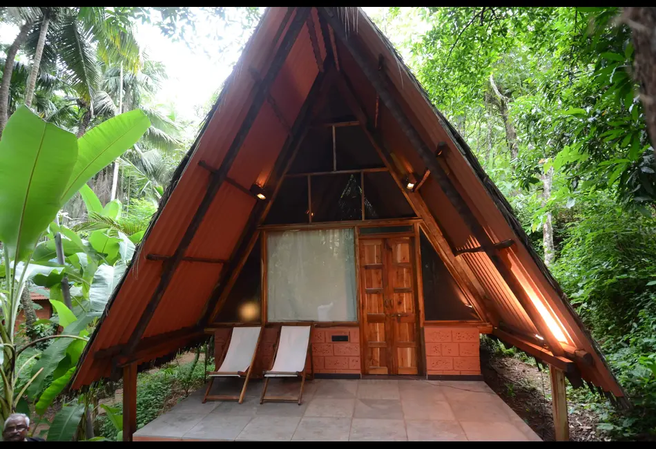 Maachli Farmstay: A Hidden Paradise for Animal Lovers