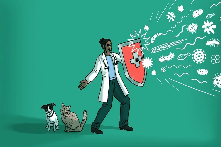 Why Preventive Education From Veterinary Clinics Helps Owners