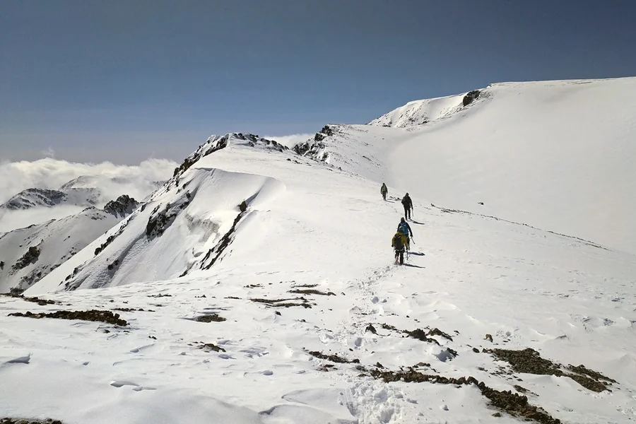 FAQ of Sauyr Zhotasy’s