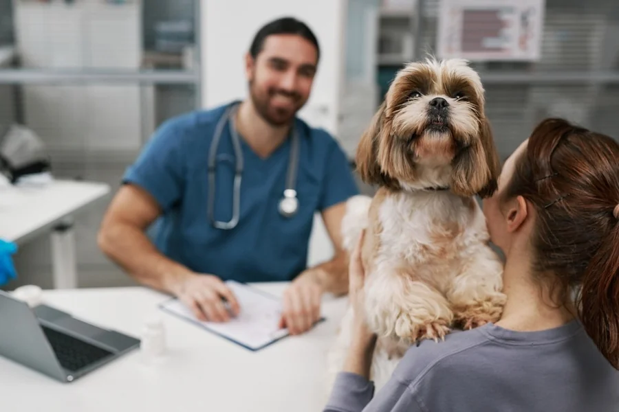 Why General Veterinarians Are Essential For First-Time Pet Owners