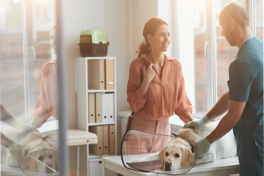 Veterinary Hospitals