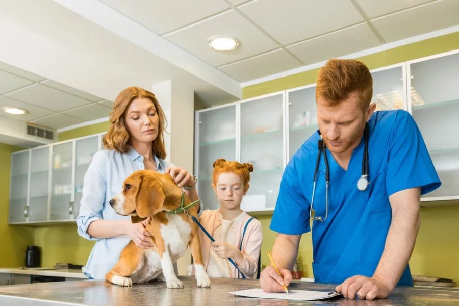 Why Transparency About Costs Matters In Veterinary Clinics