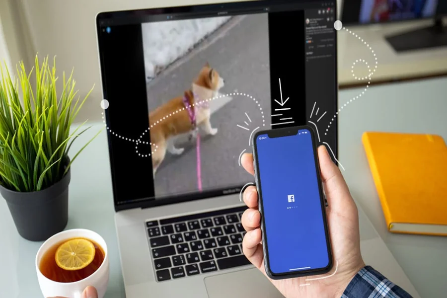 Saving Facebook Videos for Offline Travel: A Practical Guide
