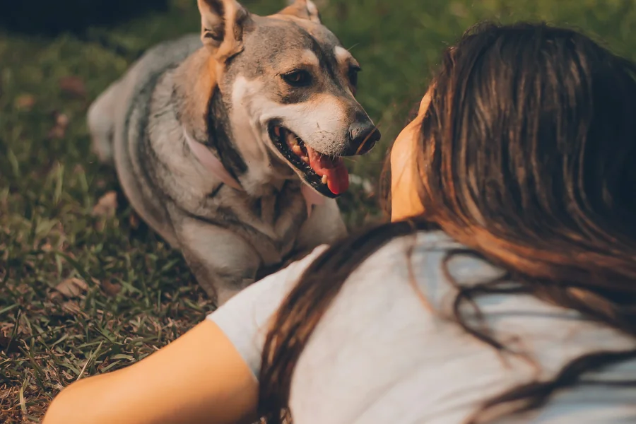 60 Wildlife Captions for Instagram Animal Lovers Will Love